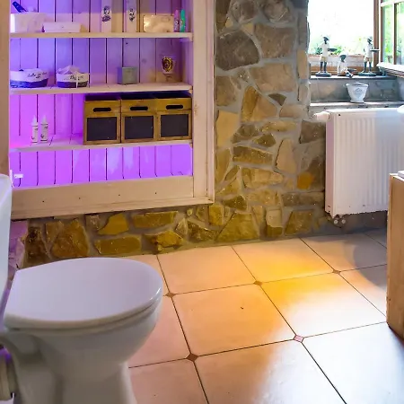 Holiday home In Nature With Sauna, Hot Tub En Swimming Pool *