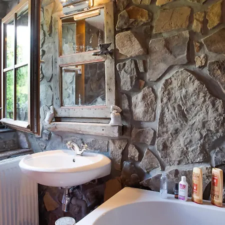 With Sauna And Swimming Pool